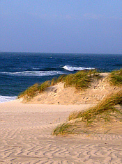 The main beach at Main St. Hotal & Bistro